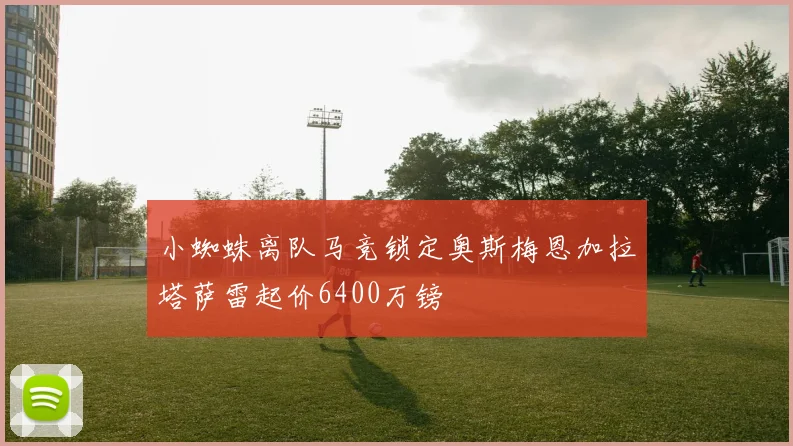 小蜘蛛离队马竞锁定奥斯梅恩加拉塔萨雷起价6400万镑